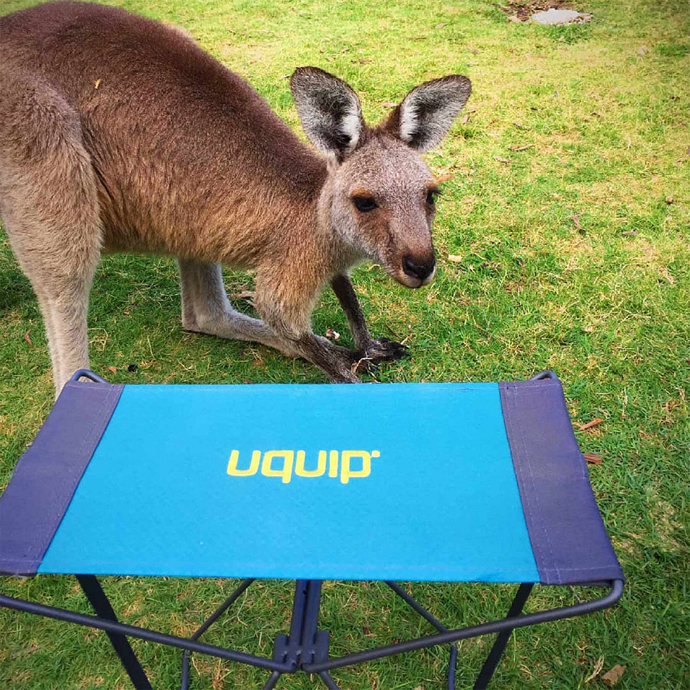 Стульчик розкладной Uquip Fancy Blue/Grey (244017) Винница - изображение 9