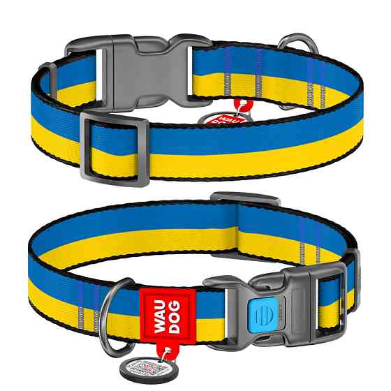 Ошейник для собак нейлоновый WAUDOG Nylon c QR паспортом, рисунок 