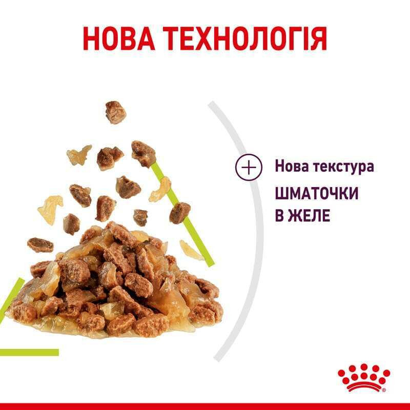 Royal Canin Sensory Smell Jelly (Роял Канін Сенсорі в желе) вологий корм для вимогливих кішок 85 г х 12 шт 85 г х 12 шт. Запоріжжя - фото 2