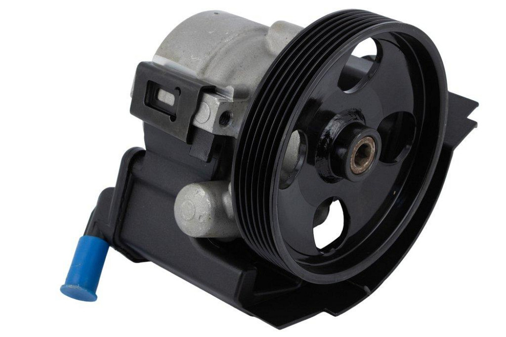 Насос ГПК (125mm) Raiso (Швеція) Peugeot 206 Hatchback, Пежо 206 Хетчбек 99 - #RG0112 UAOYJNI22 Ковель - фото 2