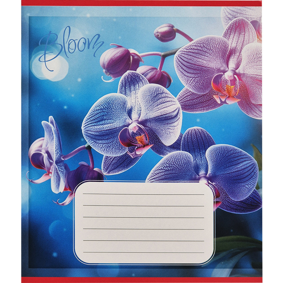 Зошит учнівський "Орхідеї" 018-530261K-3 в клітинку, 18 аркушів Вінниця - фото 1