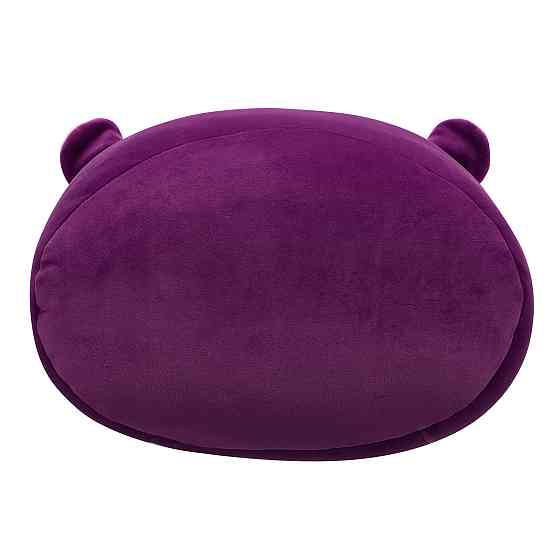 М'яка іграшка Squishmallows – Скунс Слоан (30 cm) Дніпро