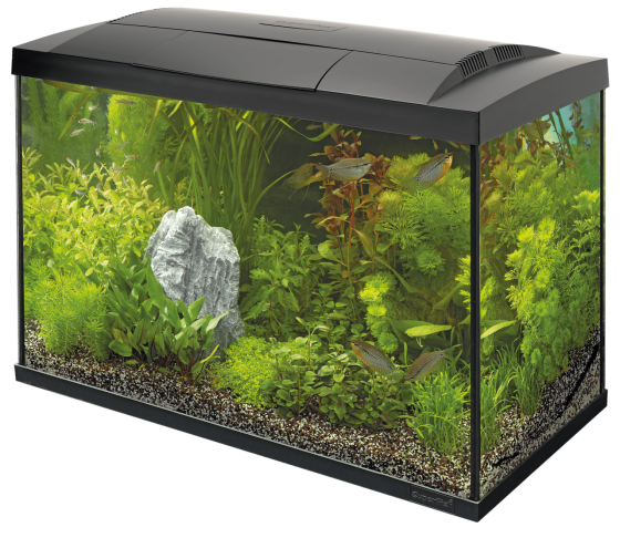 Акваріумний стартовий набір SuperFish Start 70 Aquarium Kit Black (A4050285) Київ