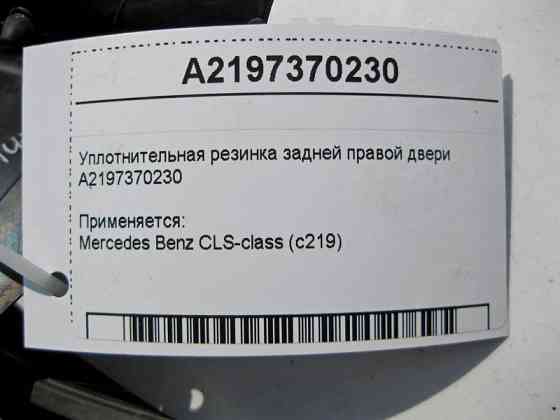 Mercedes-Benz  A2197370230 Ущільнювальна гумка задніх правих дверей CLS C219 Одеса