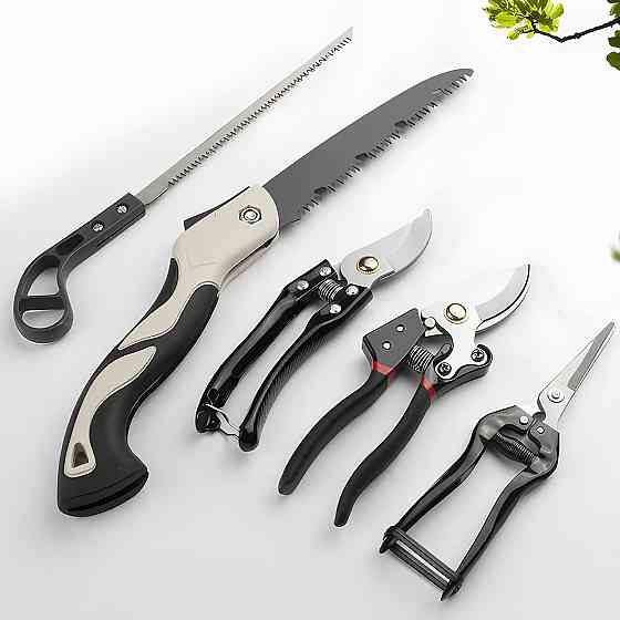 Набір садових інструментів 5в1 (ножиці,секатори,пили) SBR Київ