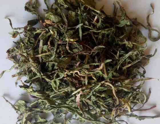 Кульбаба (лист), 100г. Київ