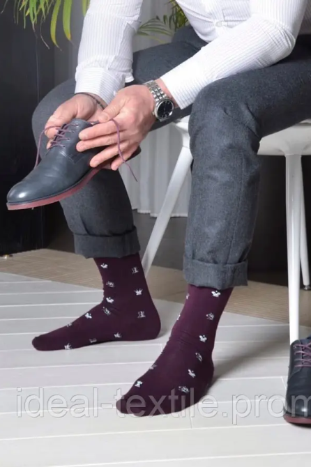 Шкарпетки чоловічі Шахи Master Step арт.1742 бордо 38-40, бордовий Чернівці - фото 1