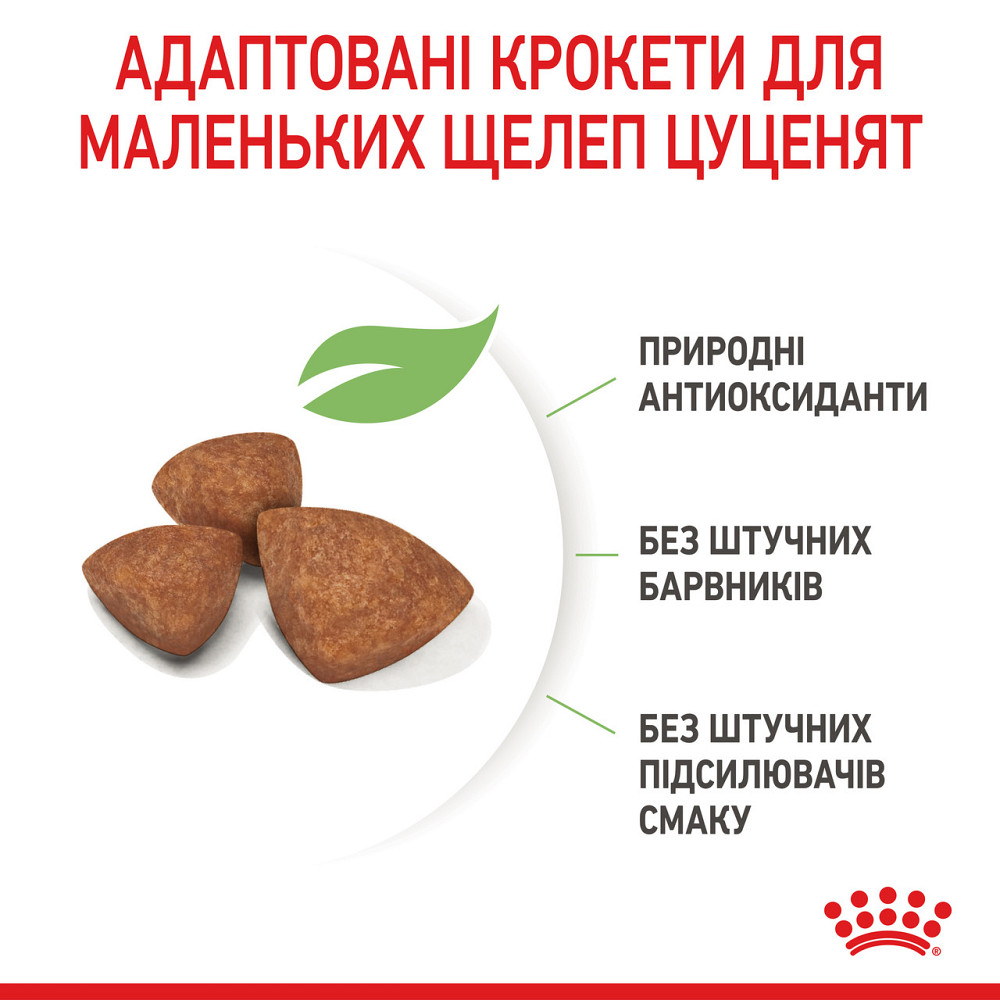 Корм для цуценят ROYAL CANIN XSMALL PUPPY 1.5 кг Київ - фото 5