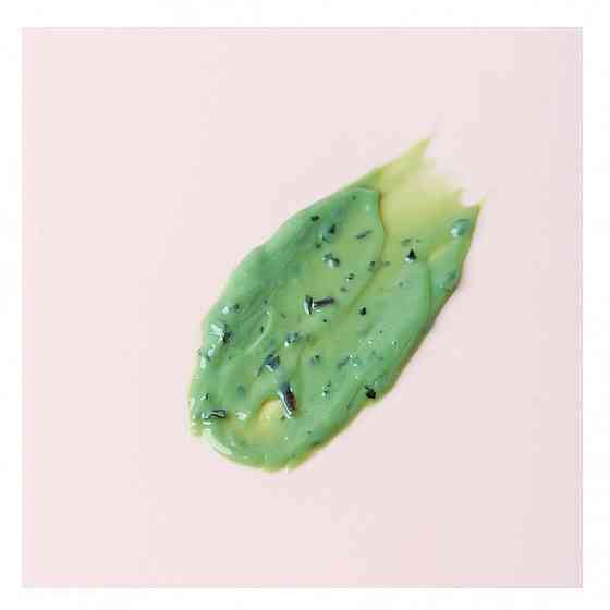 Маска для лица Растительные экстракты Original Artemisia Steam Mask Fraijour 50 мл Киев