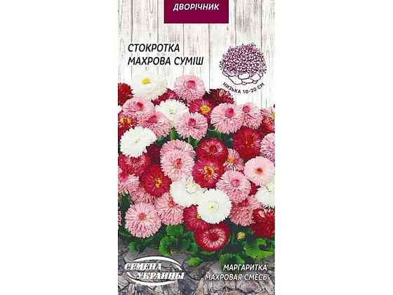 Маргаритка махрова (суміш) ДВ 0,05г (10 пачок) ТМ СЕМЕНА УКРАИНЫ   Solmir Київ