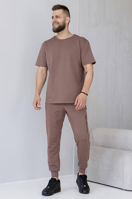 Штани джогери чоловічі TotalFit EM1 L, Коричневий Київ - фото 1