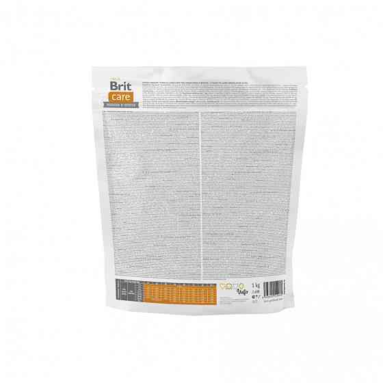 Сухой корм Brit Care Dog Hypoallergenic Junior Large Breed для молодых собак больших пород, с ягненком, 1 кг Винница