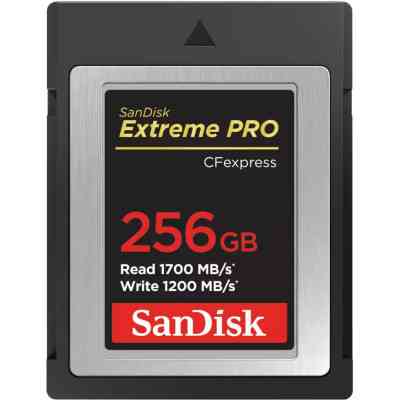Карта памяти SanDisk 256GB CFexpress Extreme Pro (SDCFE-256G-GN4NN) Винница