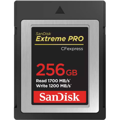 Карта памяти SanDisk 256GB CFexpress Extreme Pro (SDCFE-256G-GN4NN) Винница - изображение 1
