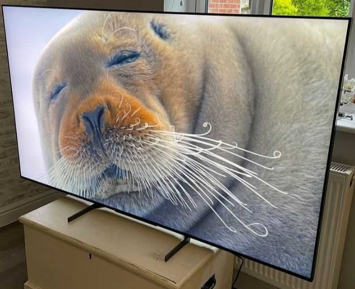 Телевизор Безрамный: 75