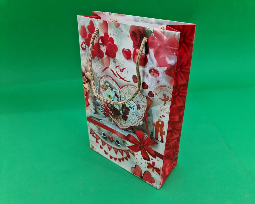 Паперовий пакет подарунковий Середній 17/26/8 (артSV-187) (12 шт.) Харків - фото 1