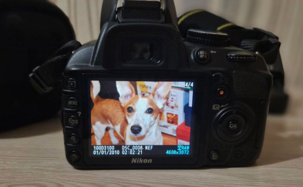 Фотоаппарат Зеркальный : Nikon D3100 + Сумка+SD. Харьков - изображение 4