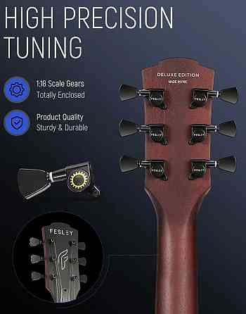 Електрогітара Fesley FLP350 BK (комплект) Харків