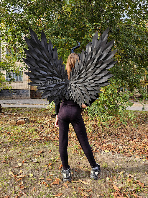 Чорні Крила великі Кривий Ріг - фото 3