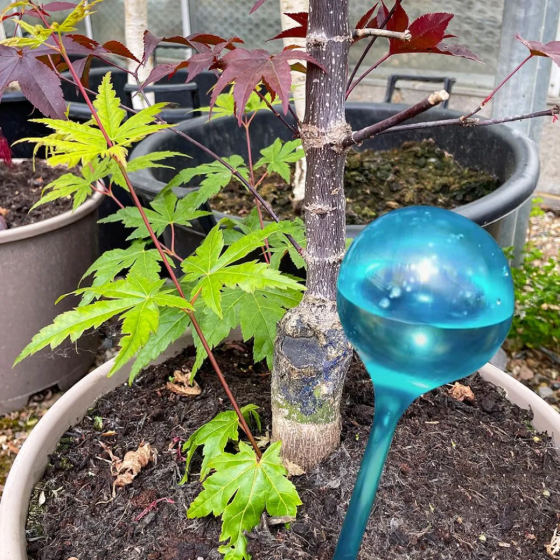 Колба для автоматичного поливу | Вазон у вигляді кулі для саду, 3шт, крапельний автополив, 8×25см, синій Кам'янець-Подільський