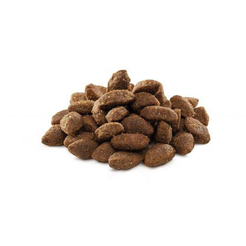 Сухий корм Brit Premium Dog Sport для собак з високими енерговитратами, з куркою, 15 кг Київ - фото 2