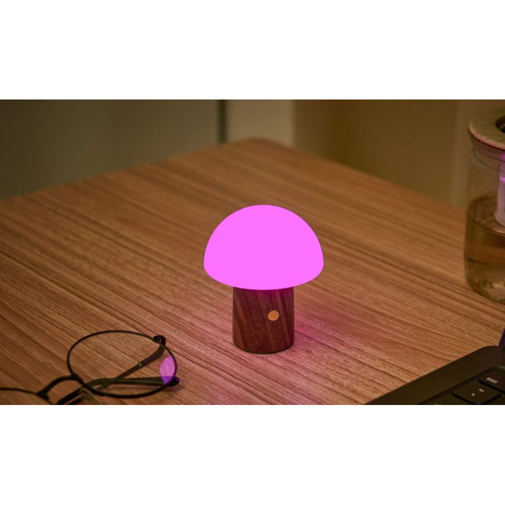 Світильник на акумуляторі Gingko Alice Mushroom Lamp Super Mini, горіх | G022S-WT Вінниця - фото 4