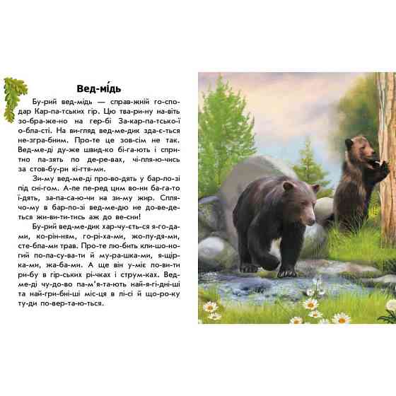 Читаю про Украину по слогам 