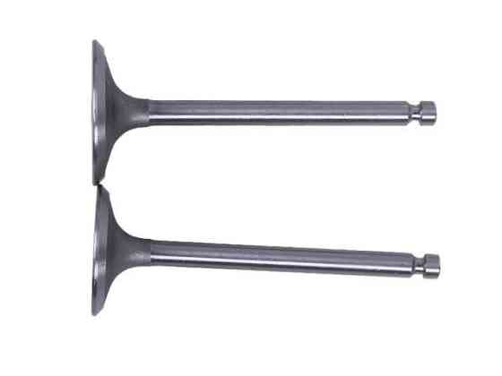 Клапани на дизельний двигун 192D, к-т: 2 шт. Мукачево