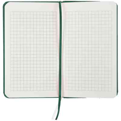 Книга записная Axent Partner 95x140 мм, 96 листов, клетка, зеленый лес (8301-61-A) Винница