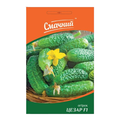 Огірок Цезар F1 0,5гр Смачний Житомир