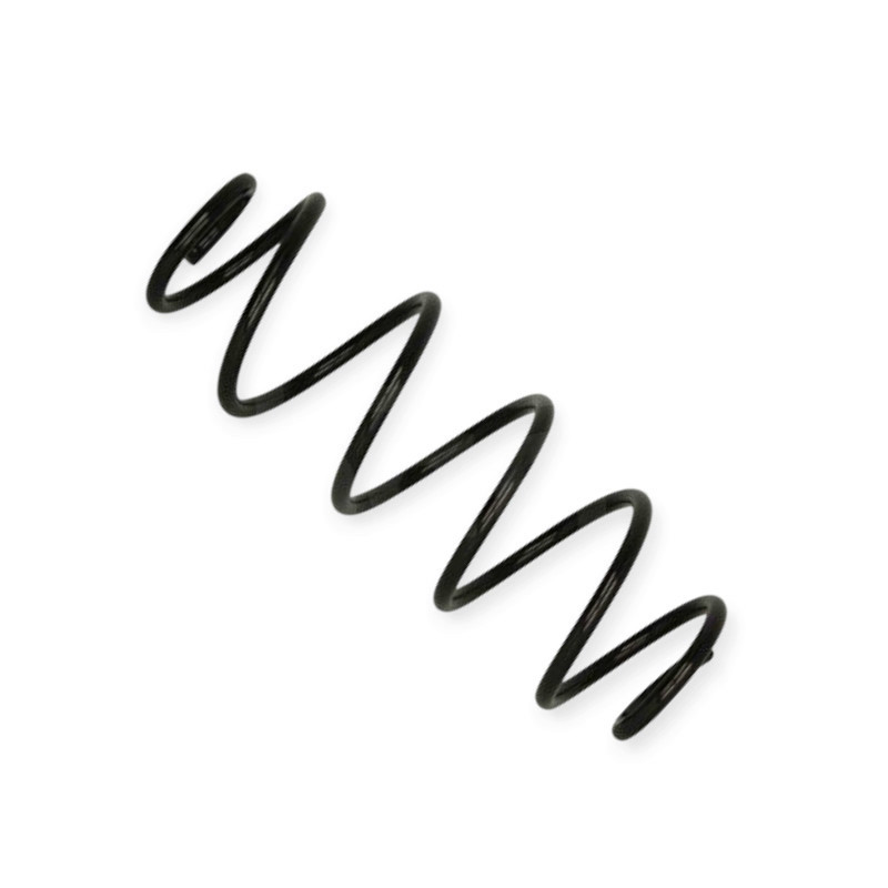 Пружина Citroen C2 03-задня Мукачево - фото 1