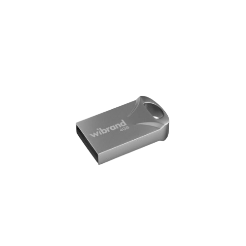 Флешка 4Гб USB 2.0 срібло Hawk Wibrand Житомир