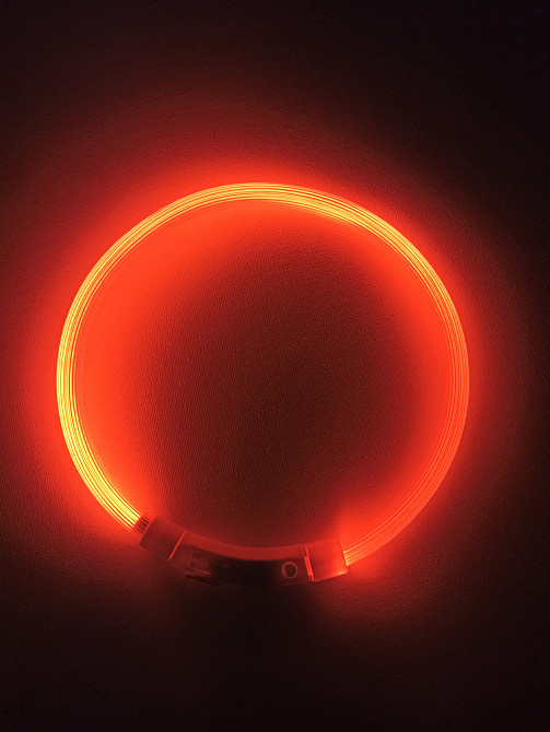 Светящийся ошейник для собак или котов с USB зарядкой имеет три режима свечения L 70 см оранжевый Киев - изображение 2