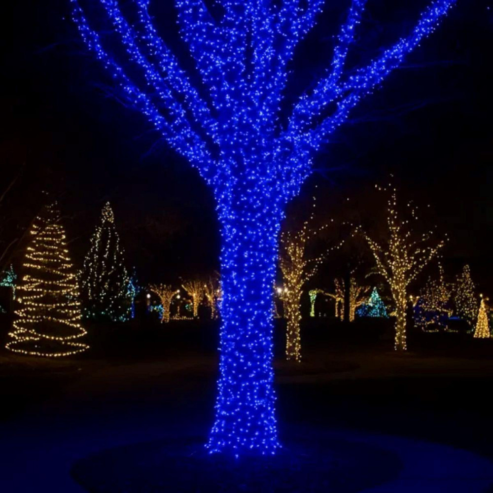 Гірлянда Різдвяна Фея 100 м, 1000 LED, синій провод Київ - фото 4
