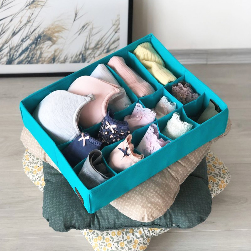 Двойной органайзер для белья LzrK001 (Лазурь) Сумы - изображение 1