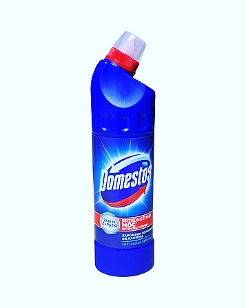 Жидкость для дезинфекции Domestos Forest 750мл Виноградов - изображение 1
