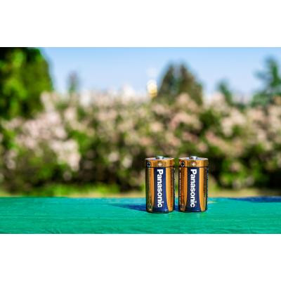 Батарейка Panasonic D LR20 Alkaline Power * 2 (LR20REB/2BP) Винница - изображение 4
