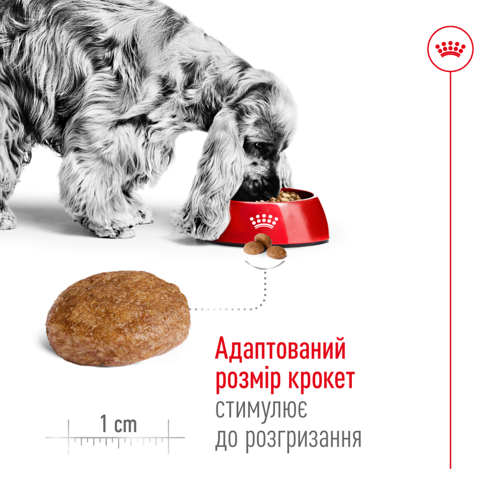 Корм для дорослих собак середніх порід віком ROYAL CANIN MEDIUM ADULT 7+(від 7 років) 15 кг Киев - изображение 4