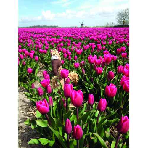 Іграшка Trixie для собак Гриф Густав тканина і плюш 24 см Київ