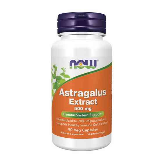 Astragalus Extract 500 mg (90 veg caps) Луцьк