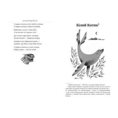 Книга Книга джунглів - Джозеф-Редьярд Кіплінг Видавництво РМ (9786178280857) Вінниця
