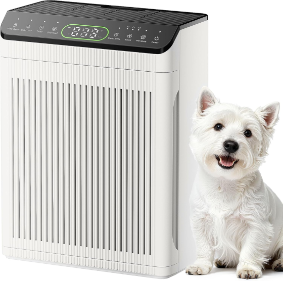 Очищувач повітря EVALIT ET066 до 204 м², HEPA, PM2.5, авто та Pet Mode, мийний фільтр, ароматерапія, 24 дБ Київ