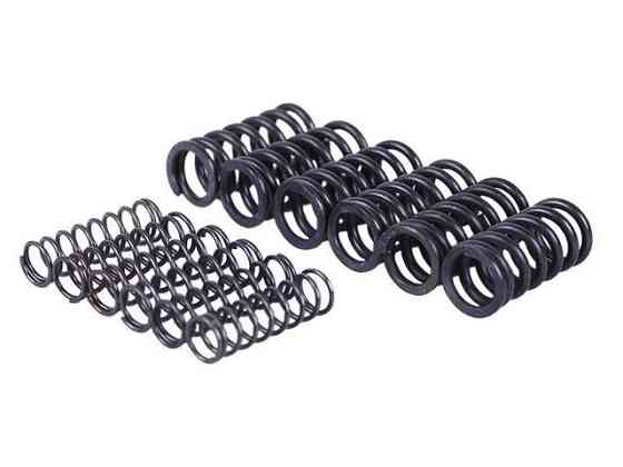 Пружины диска нажимного, 12 шт. - MFC Мукачево