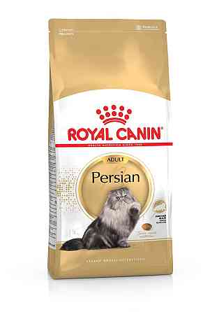 Royal Canin Persian Adult (Рояв Канін Першиан) сухий корм для котів перської породи від 12 місяців 2 кг. Запоріжжя