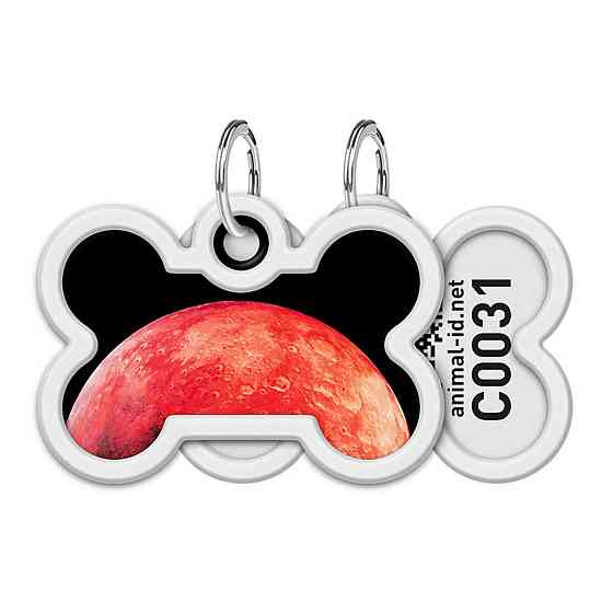 Адресник для собак і котів металевий WAUDOG Smart ID з QR паспортом, малюнок "Марс", кістка, Д 40 мм, Ш 28 мм Київ