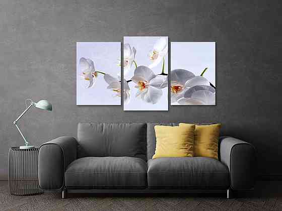 Модульна картина у вітальню/ спальню Біла орхідея  Art-577_3 Київ