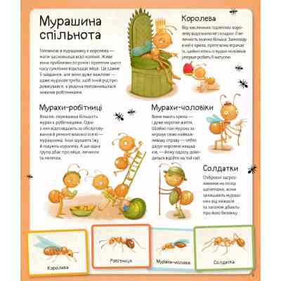 Книга Світ мурах - Штєпанка Секанінова Vivat (9786171703186) Вінниця