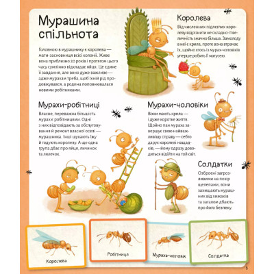 Книга Світ мурах - Штєпанка Секанінова Vivat (9786171703186) Винница - изображение 6