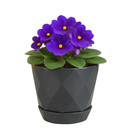 Вазон Yakamoz Saksi 0,3л антрацит ELIF Житомир