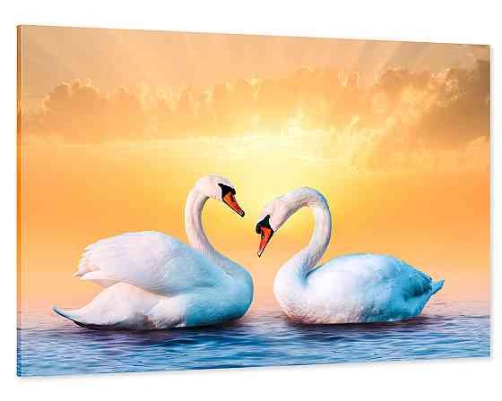 Картина холст / спальню  Пара Лебедів       MLP_9 40x80 см Киев